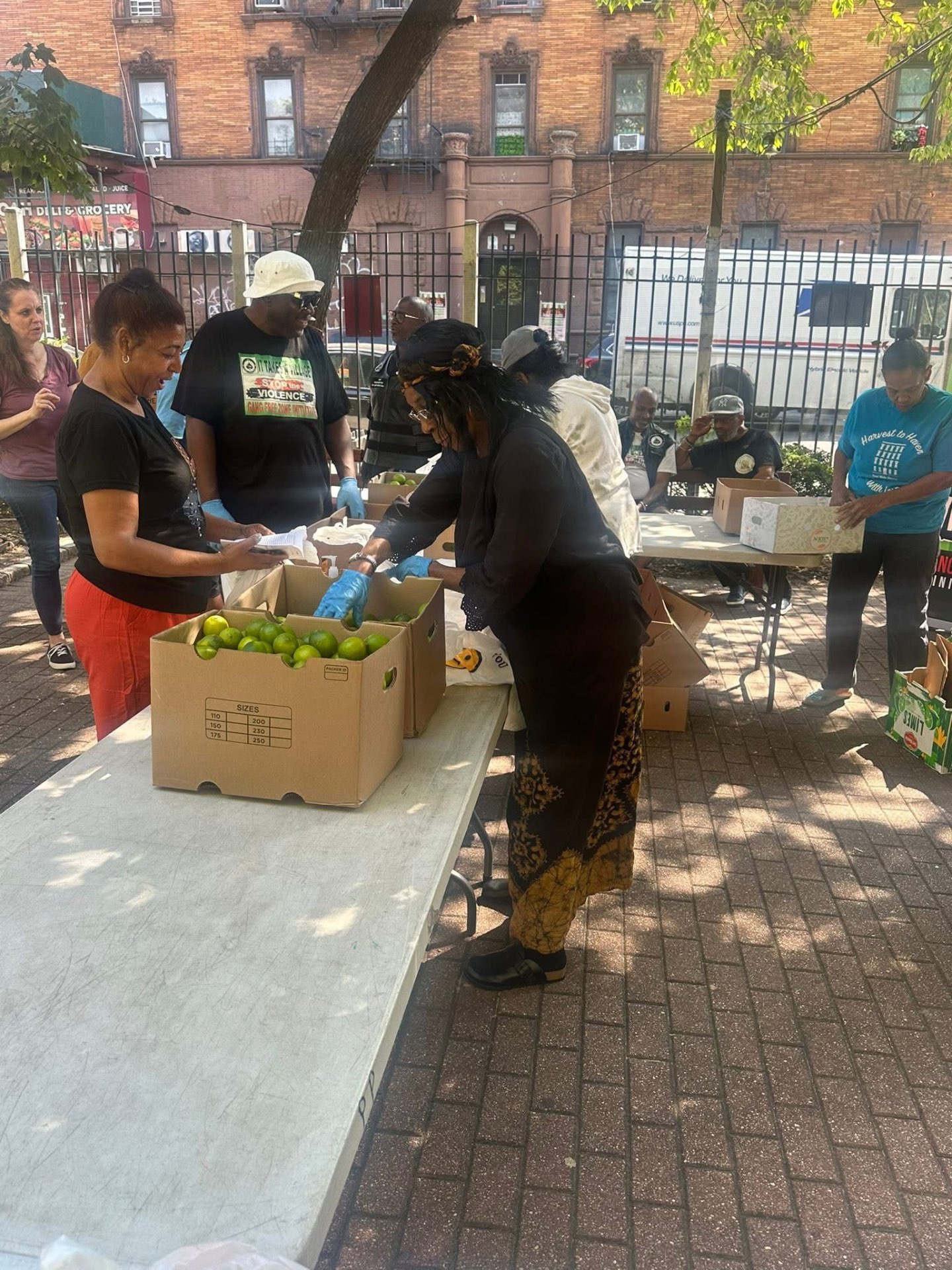 Padre Plaza Garden - Summer Produce Distribution