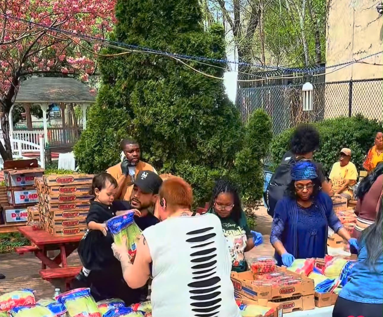 Spring Distribution Under the Cherry Blossoms - Padre Plaza
