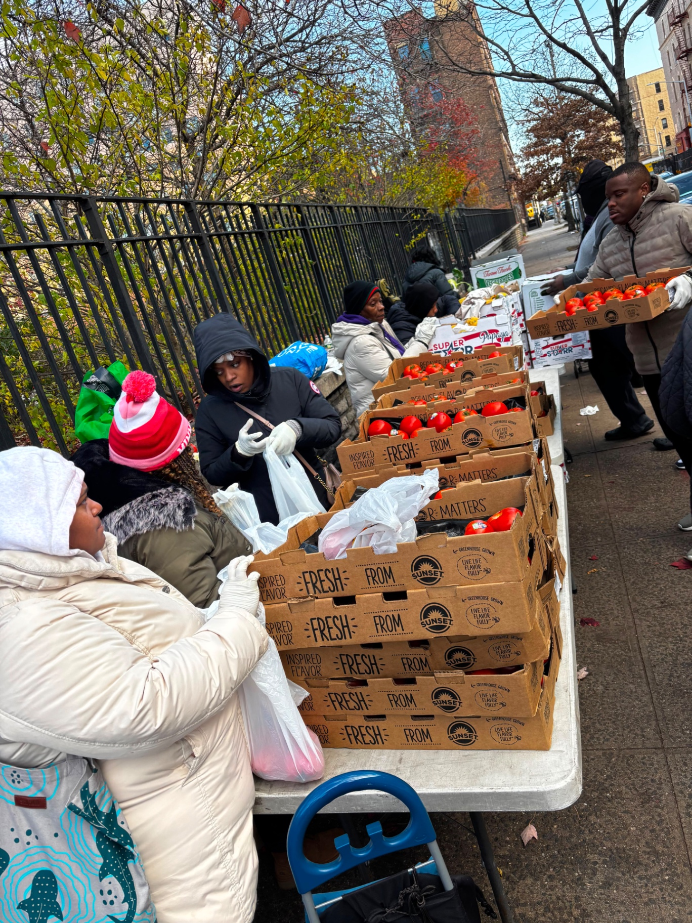 Padre Plaza Food Pantry - Fresh Produce Distribution