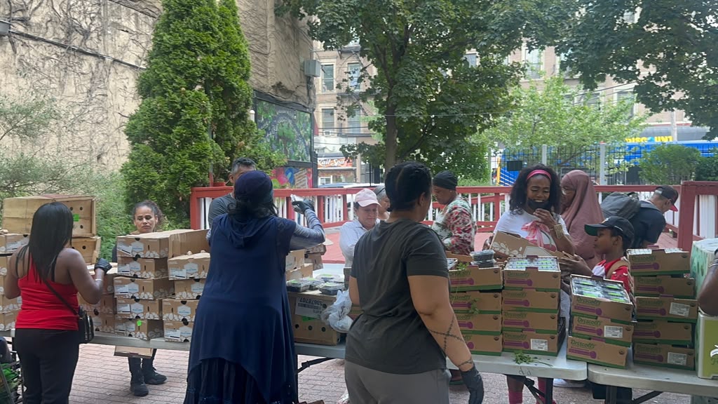 Summer Distribution at the People's Park Bridge