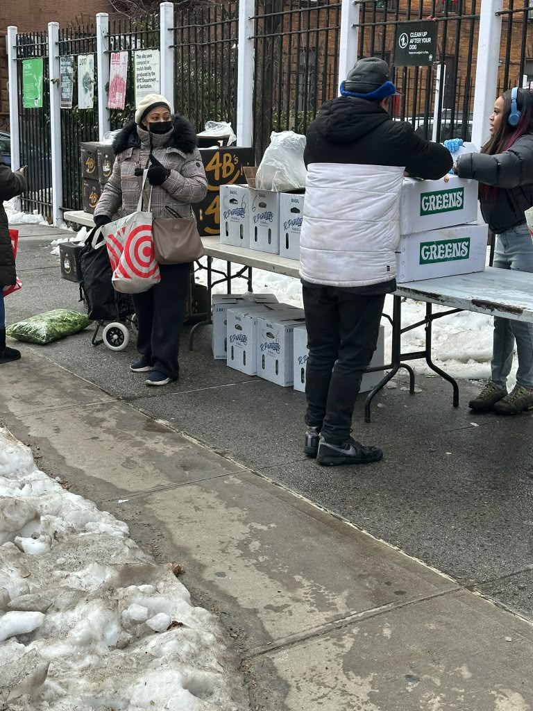 Winter Distribution - Greens & Staples After the Snow